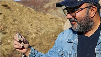 تركيا.. اكتشاف مستحاثات كائنات بحرية يقدر عمرها بـ50 مليون عام