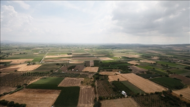 Türkiye'de erozyonla her 16 yılda 1 santimetre toprak kaybediliyor