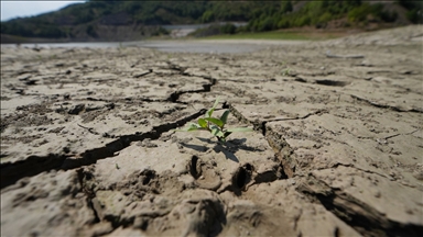 Toprak ile su kaybı, gıdayı ve geleceği doğrudan tehdit ediyor