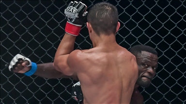 50 countries launch international mixed martial arts federation with Olympic goal