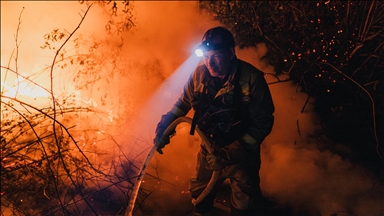 Europe faced record-breaking wildfires in 2025: Report