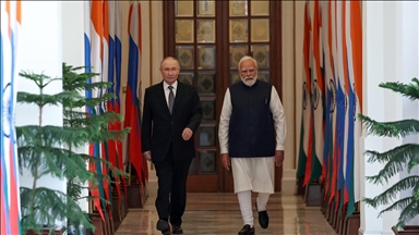 Russia, India call on all parties to remain committed to 'cessation of conflict' in Gaza
