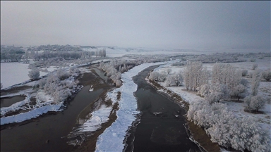 Kars, Ardahan ve Ağrı'da soğuk hava ile sis etkili oldu