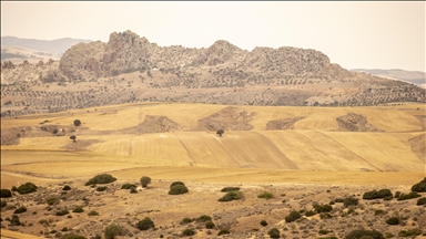 تونس.. هل تحل مياه الشمال أزمة الجفاف؟