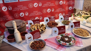 Hatay'da coğrafi işaret tescili alan 7 ürün tanıtıldı