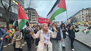 В столице Швеции прошла акция протеста против продолжающихся атак Израиля на Газу