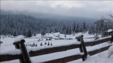 Tišina, bijeli pejzaži i čist zrak na Igmanu privlače posjetitelje