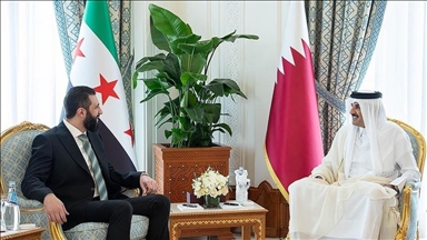 Президент Сирии Ахмед аш-Шараа встретился с эмиром Катара шейхом Тамимом бин Хамадом Аль Сани