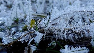 Kars'ta soğuk hava etkili oluyor
