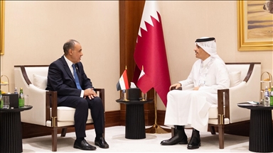 وزيرا خارجية قطر ومصر يبحثان تطورات الأوضاع الميدانية بغزة