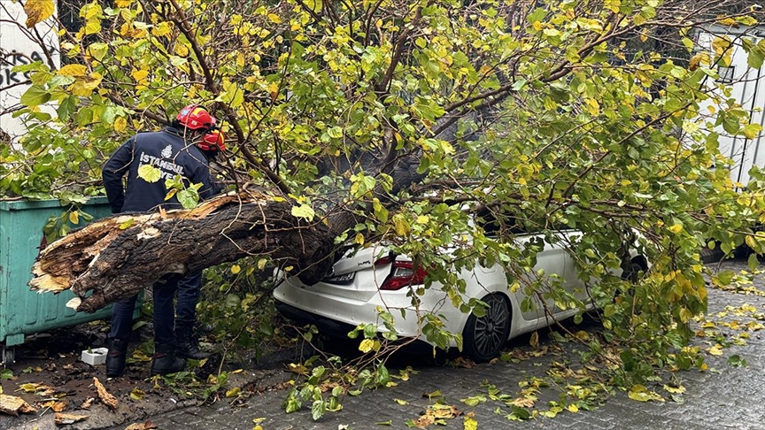 Beyoğlu'nda park halindeki aracın üzerine ağaç devrildi