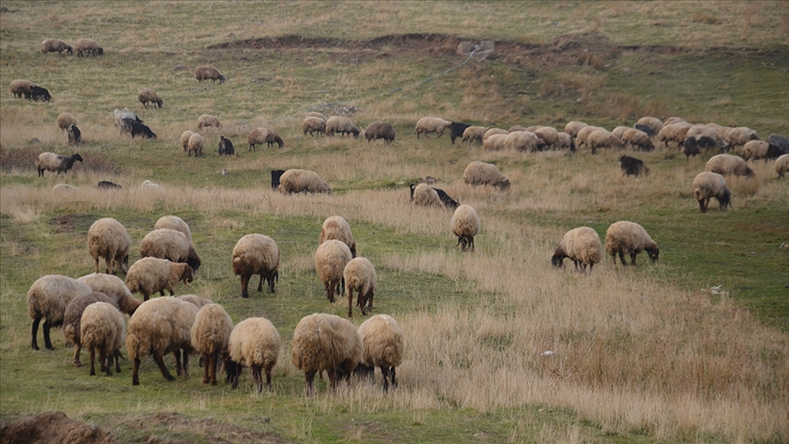 "Halk Elinde Islah Projeleri"ne toplam 2,7 milyar lira destek sağlandı