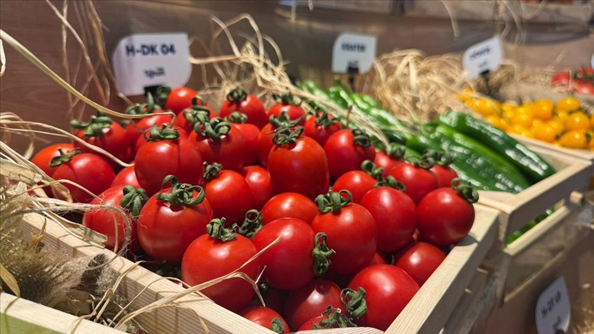Türkiye'den yurt dışına sebzede en çok domates, salatalık ve biber tohumu gönderiliyor