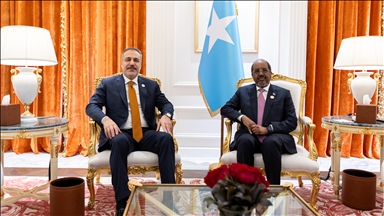 Türkiye’s foreign minister meets Somalia’s president in Doha