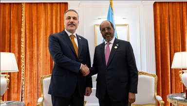 دیدار وزیر خارجه ترکیه با رئیس‌جمهور سومالی