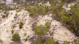 Orman işçileri erozyona karşı da sahada