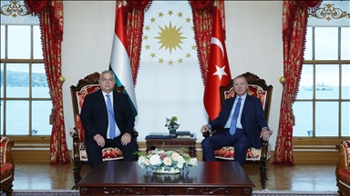 دیدار رئیس‌جمهور ترکیه و نخست‌وزیر مجارستان در استانبول