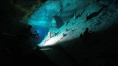 Дайверы запечатлели уникальное биоразнообразие глубин Восточного Средиземноморья