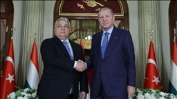 أردوغان: التبادل التجاري مع المجر يقترب من 6 مليارات دولار 