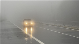 Li Çiyayê Boluyê mij û baranê tesîra xwe nîşan da