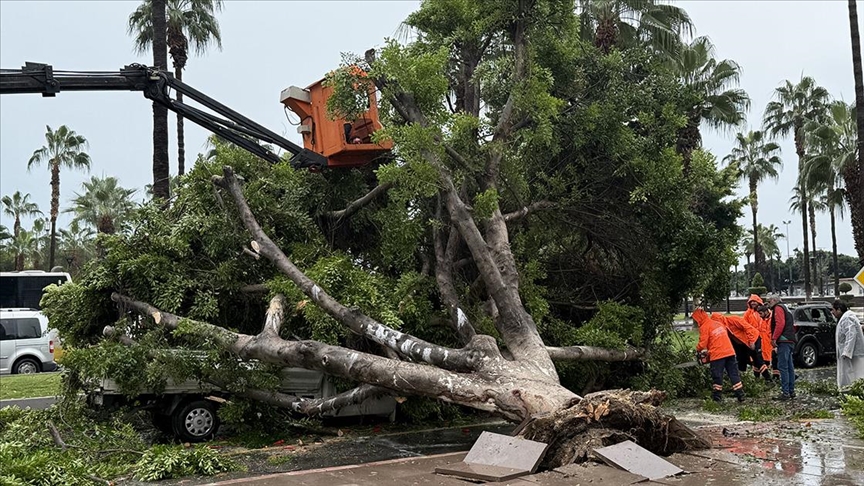Mersin'de rüzgarın etkisiyle devrilen ağaç seyir halindeki 3 araca zarar verdi