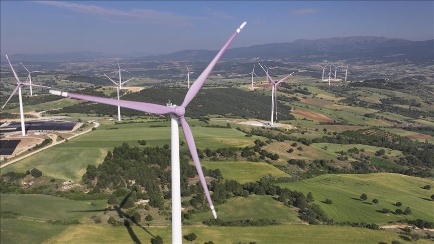 Chinese firms have committed $80B in overseas investments in clean technology: Report