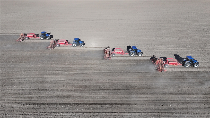 Malya Tarım İşletmesi'nde kuraklığa dayanıklı tohumlarla üretim yapılıyor