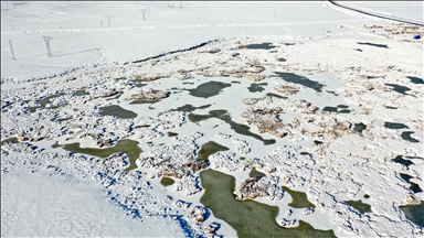 دەریاچەی چاڵی کە میوانداریی ئەو باڵندە کۆچەریانە دەکات لە ئەفریقاوە بۆ ڕووسیا کۆچ دەکەن بەستوویەتی
