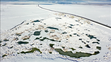 Gola Çaliyê ku mazûvaniya teyr û tilûrên koçber dike, qerisî