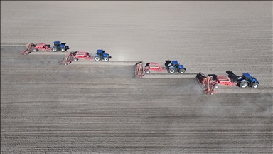 Malya Tarım İşletmesi'nde kuraklığa dayanıklı tohumlarla üretim yapılıyor