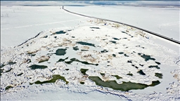 Afrika'dan Rusya'ya göç eden kuşları ağırlayan Çalı Gölü dondu 