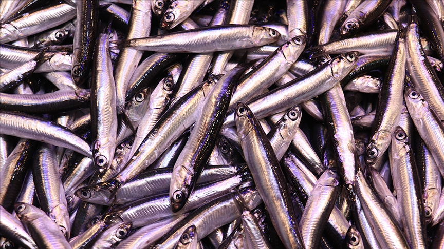 İstanbul\'da kasımda haldeki balıkçıların yüzünü en çok \