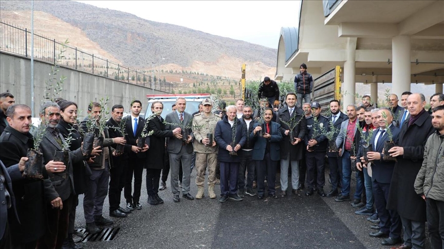 Li Batmanê li 40 hilberîneran 5 hezar fîdanên zeytûnan hatin belakirin