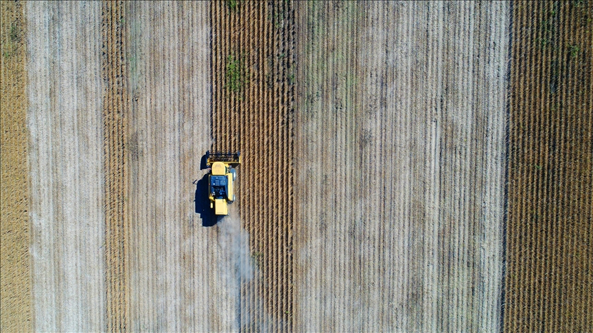 US trade representative extends timeline for China's soybean purchases, because of 'discrepancy'