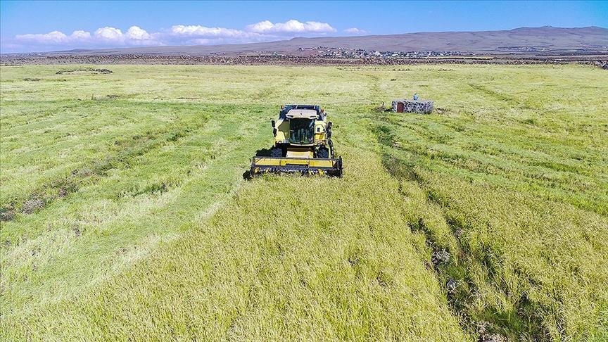 Trump administration announces $12B relief package for tariff-stricken farmers