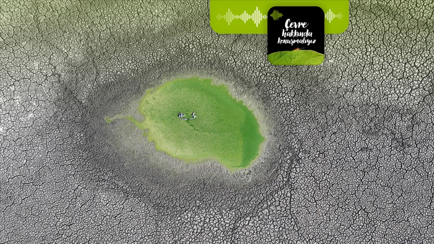 İklim krizinde çözüm arayışları Türkiye'de odaklanıyor