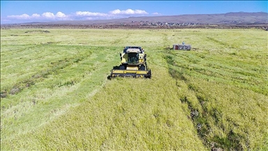 Trump administration announces $12B relief package for tariff-stricken farmers
