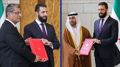 سوريا.. الشرع يتسلم أوراق اعتماد سفيري الإمارات ولبنان