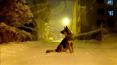 Li Qersê ji ber berfê rêya 17 gundan hat girtin