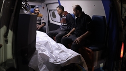 Israeli army kills 3 more Palestinians in Gaza despite ceasefire