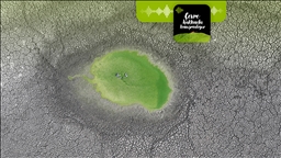 İklim krizinde çözüm arayışları Türkiye'de odaklanıyor