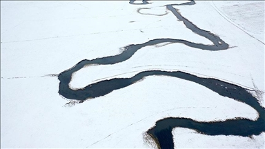 Li Qersê fitlonekên avê yên ku zivistanê naqerisin bi bedewiya xwe eleqeyê dibînin