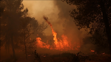 Myanmar : au moins 33 morts dans le bombardement d’un hôpital par la junte dans l’État de Rakhine