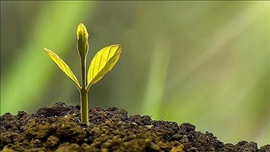 A decade after Paris Agreement: Progress made, promises broken