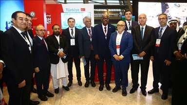 Турецкий кинематограф будет разрабатывать новые проекты с Азербайджаном и странами Азии