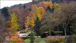 Türkiye peringkat pertama di Eropa dalam peningkatan kawasan hutan