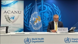 Vast majority of illnesses in Gaza may be unreported, WHO cautions amid limited access