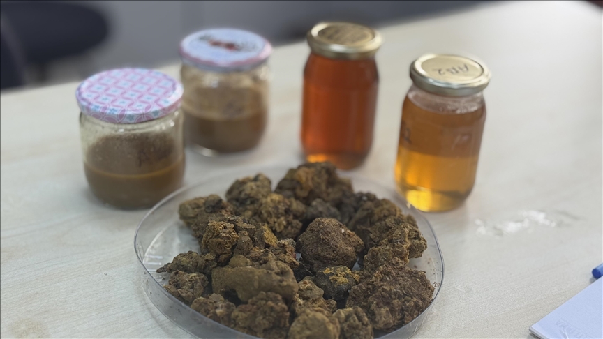 Arı ürünleri araştırmaları "KTÜ APİMER" çatısı altında sürdürülecek