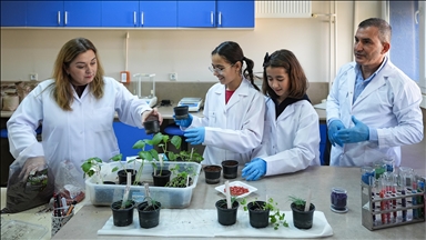 Öğrenciler "yeşil vatan" için en hızlı filizlenen tohum topunu araştırdı