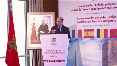 Le Maroc et trois pays européens mettent en garde contre la montée du terrorisme en Afrique